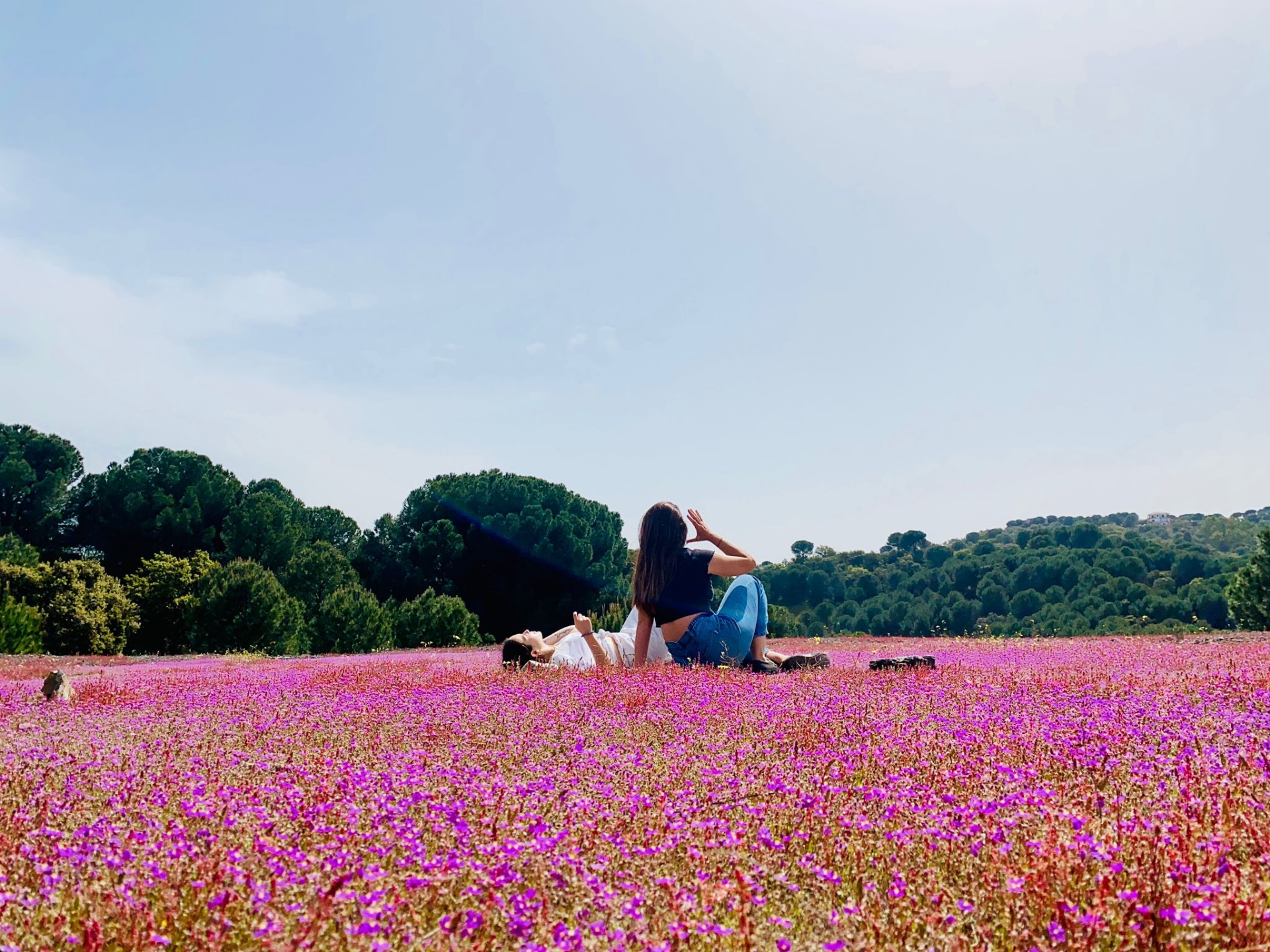 Detrás de las cámaras